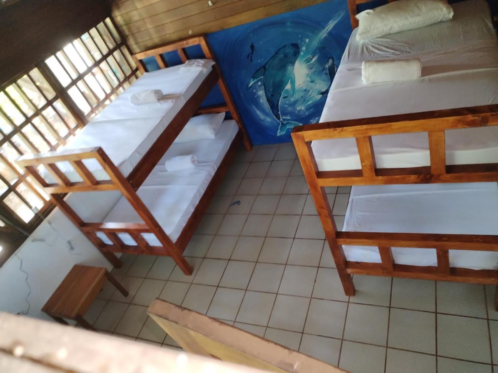 Pirate Drake Beach Hostel & Tour Company Дрейк Екстер'єр фото
